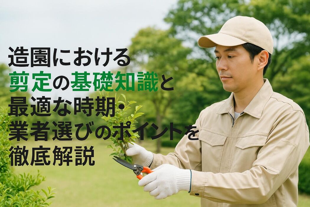造園における剪定の基礎知識と最適な時期・業者選びのポイントを徹底解説