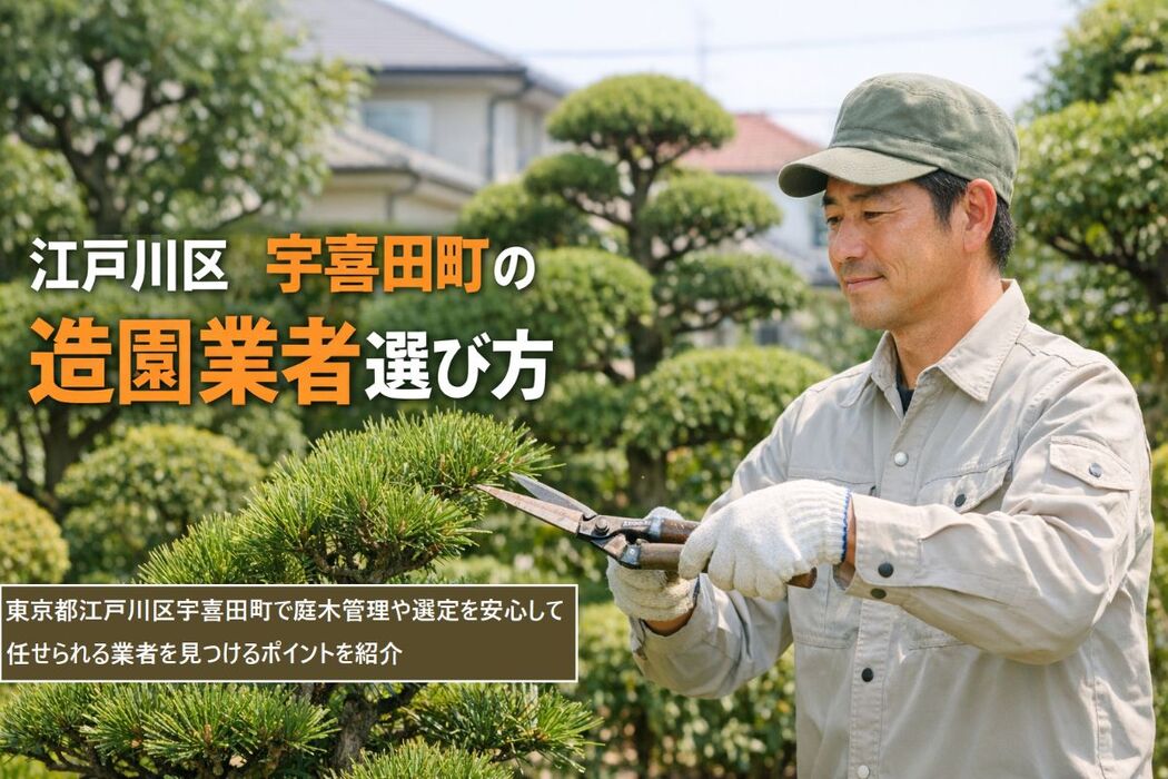 東京都江戸川区宇喜田町で造園業者選び方ガイド｜剪定・庭木管理のポイントも解説