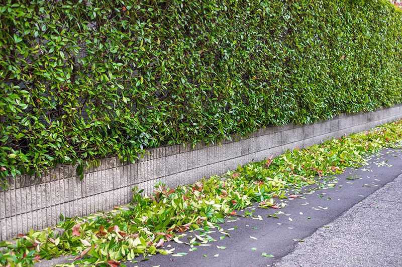 お客様の疑問に対する詳しい回答一覧