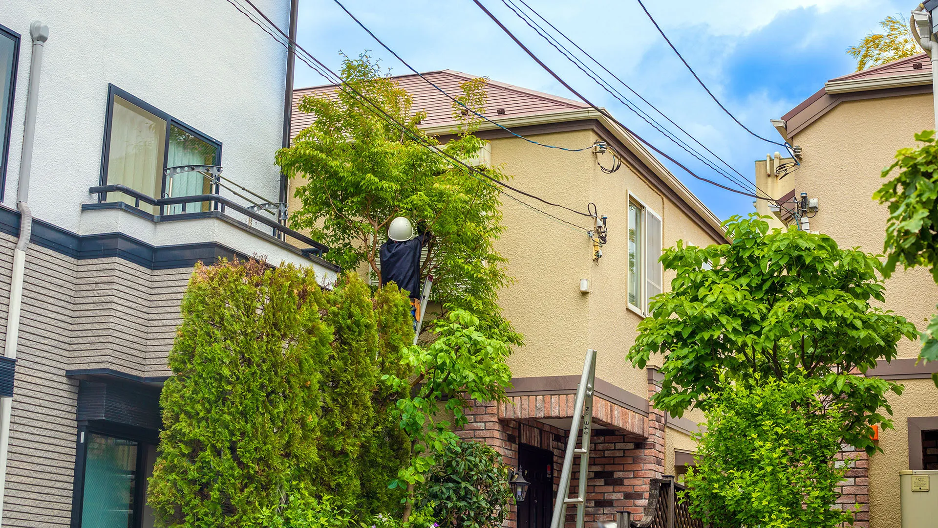 有限会社村山造園