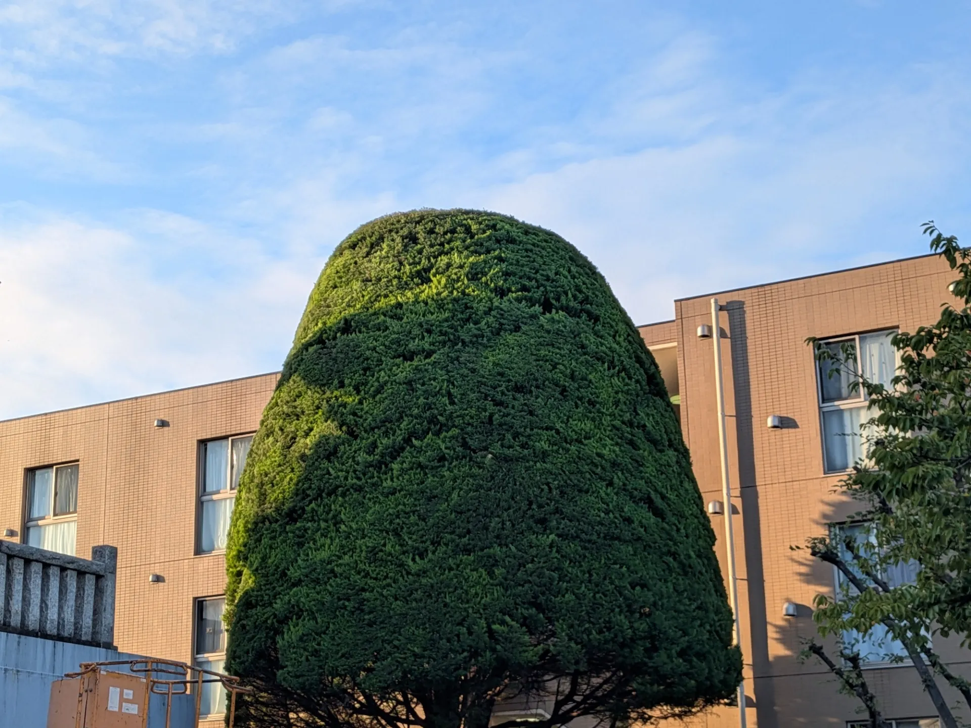 宇喜田稲荷神社 手入作業