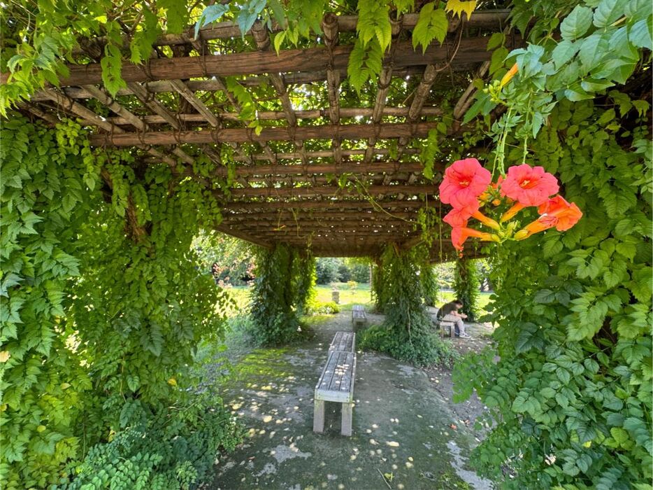 造園とガーデニングの違いやそれぞれの特徴を解説