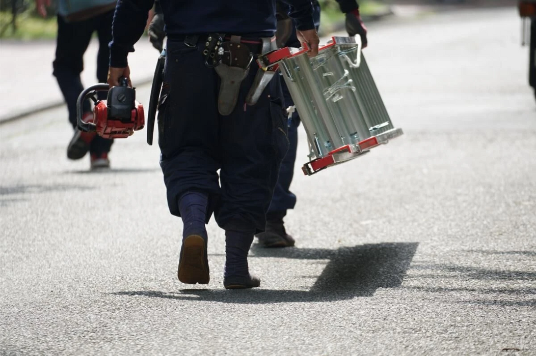 初心者でも安心！造園用はしご購入ガイドと選び方のポイント