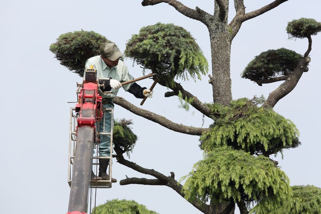 造園工事におけるクレーン依頼で失敗しないための確認ポイント