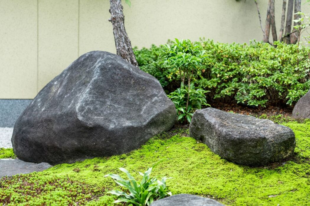 和風の造園で魅せる庭園のデザイン術！小さな庭でも映える植栽と施工方法