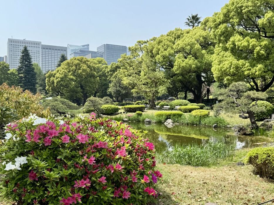 東京都江東区の造園で失敗しない業者選びのポイントと緑化事例