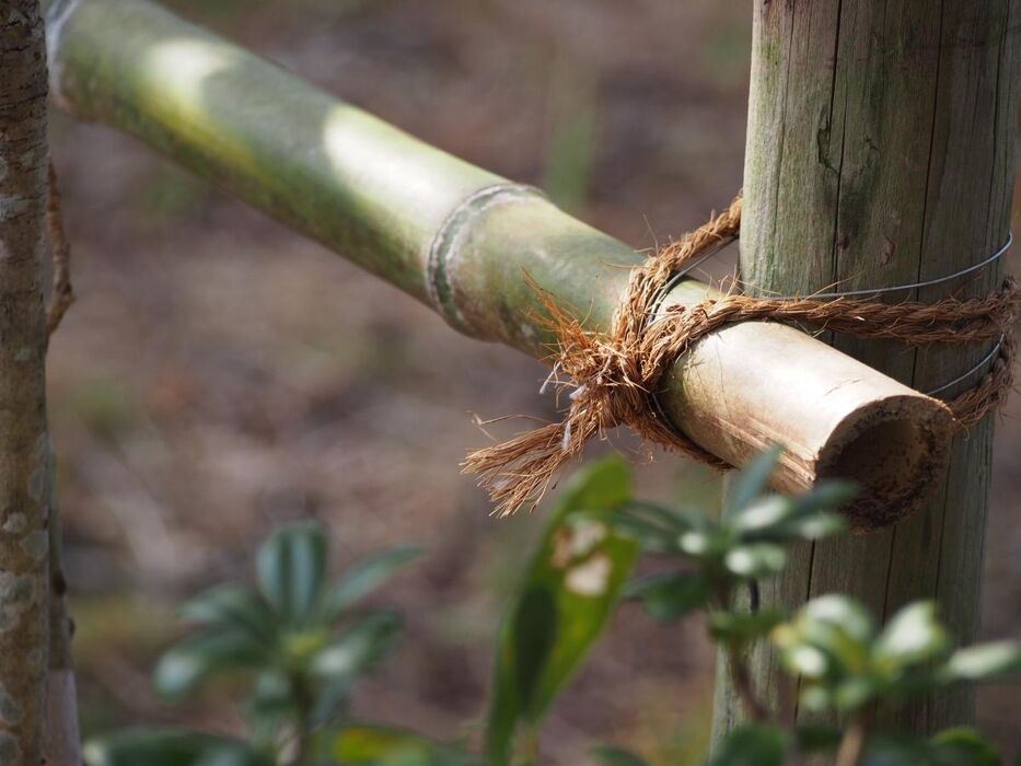 造園における竹垣の施工方法比較！緑化や外構に最適な種類と選び方