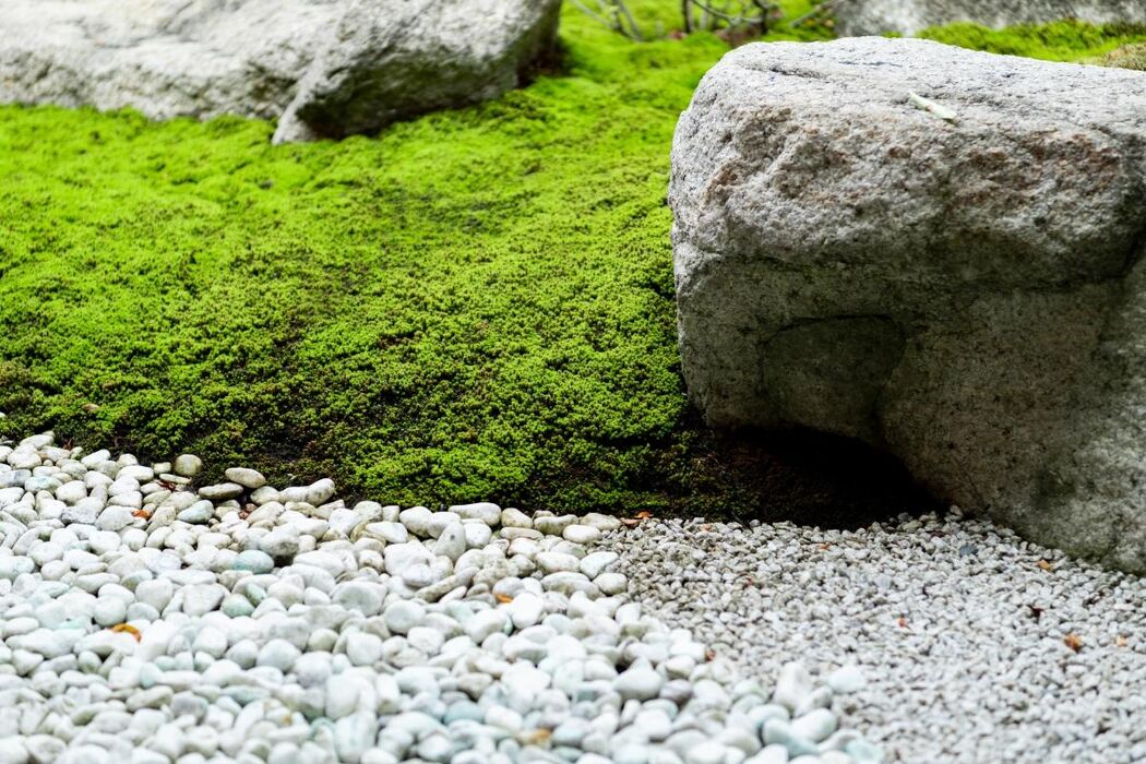 造園の石選びと施工完全ガイド ！自然石と人工石の違いも解説