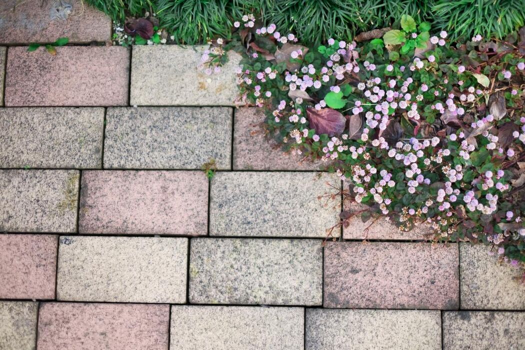 造園をレンガで魅せる庭づくり！施工から資材選びまで完全ガイド