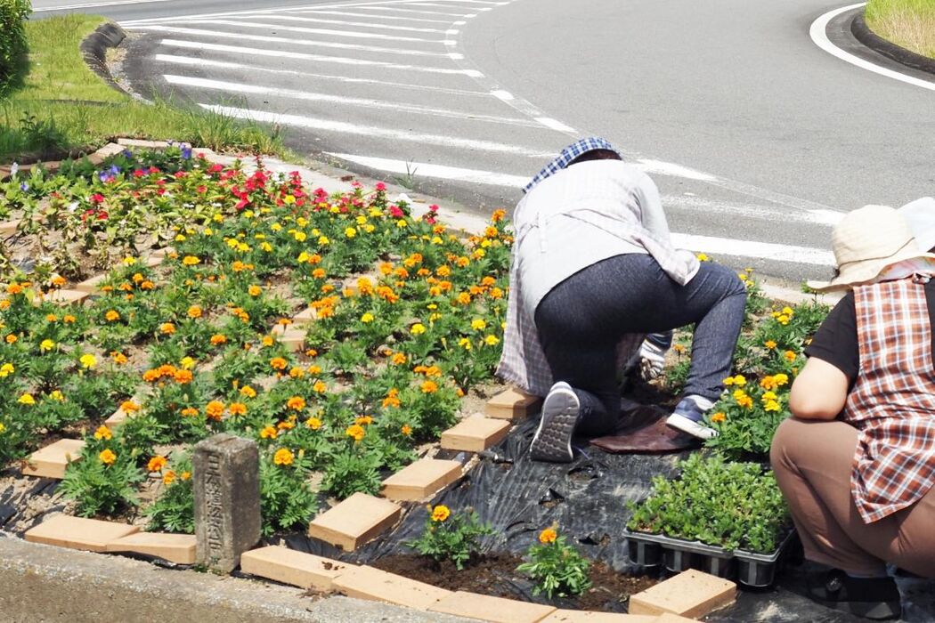 瑞江駅周辺の造園の選び方ガイド！施工と資格で失敗しない方法